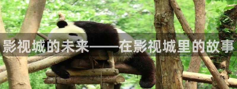 神马午夜我不卡亚洲一区