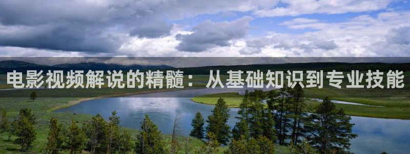 亚洲午夜精品久久久久久影视
