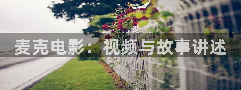 日韩免费在线电影午夜