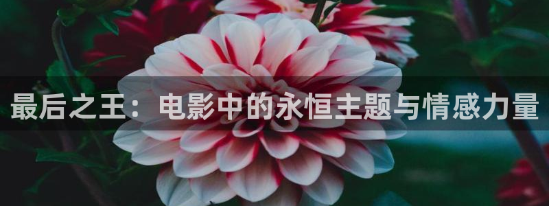 神马久久午夜影院