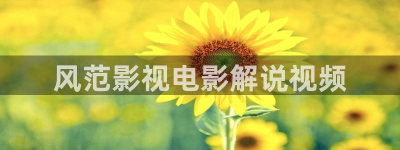 午夜伦片