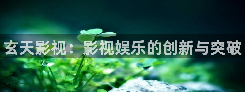 4480yy私人午夜