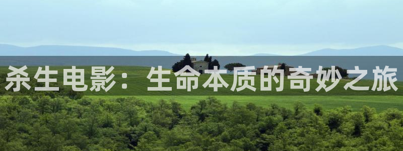 午夜怪谈 电影