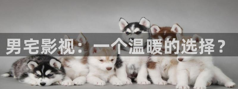 欧美午夜国产在线观看