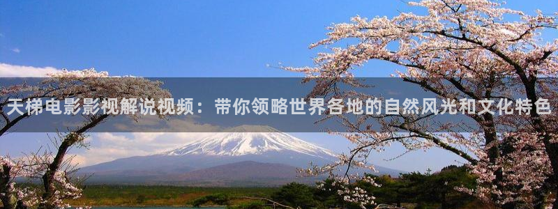 午夜电影秋霞