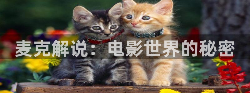 成人福利午夜电影