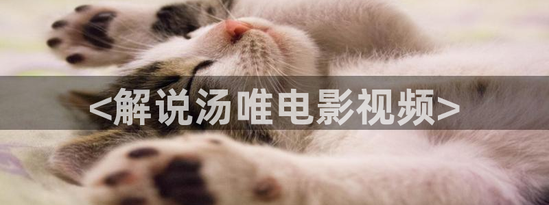 午夜电影成年