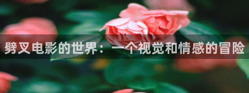 成年人午夜在线