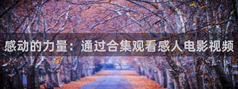 韩国午夜在线播放