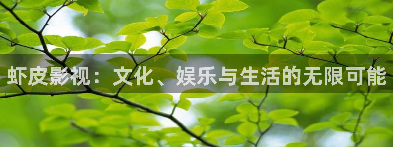 午夜au影院