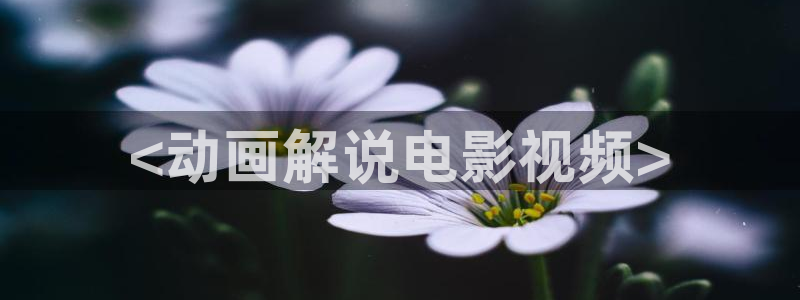 日本电影午夜影院：<动画解说电影视频>