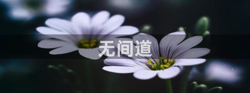 夫妻午夜电影院：无间道
