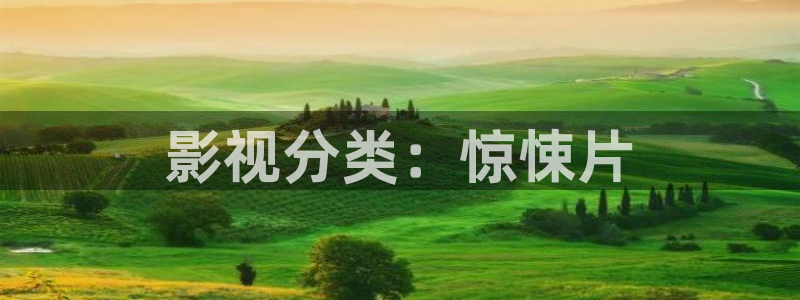 国产午夜免费在线
