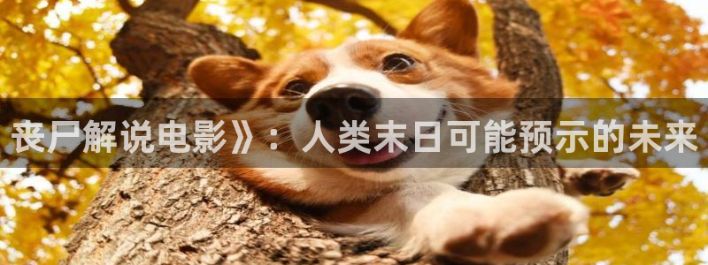 午夜观看