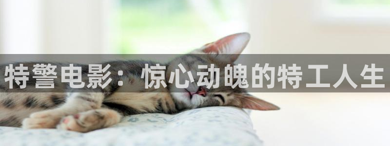 在线 午夜